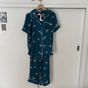 Teal women’s loft zebra Pajama Set